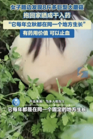 “这都是命啊！”黑龙江齐齐哈尔市，一女子在路边玩的时候，发现有颗重量高达8斤多的
