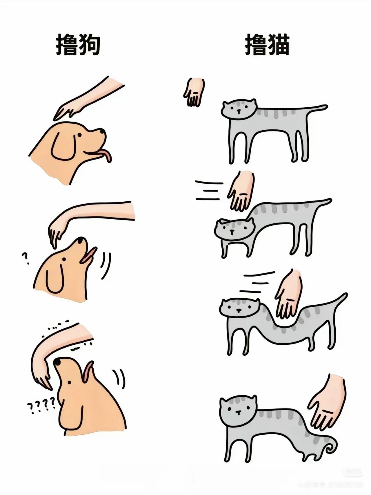 这就是撸猫与撸狗的区别[捂脸哭]