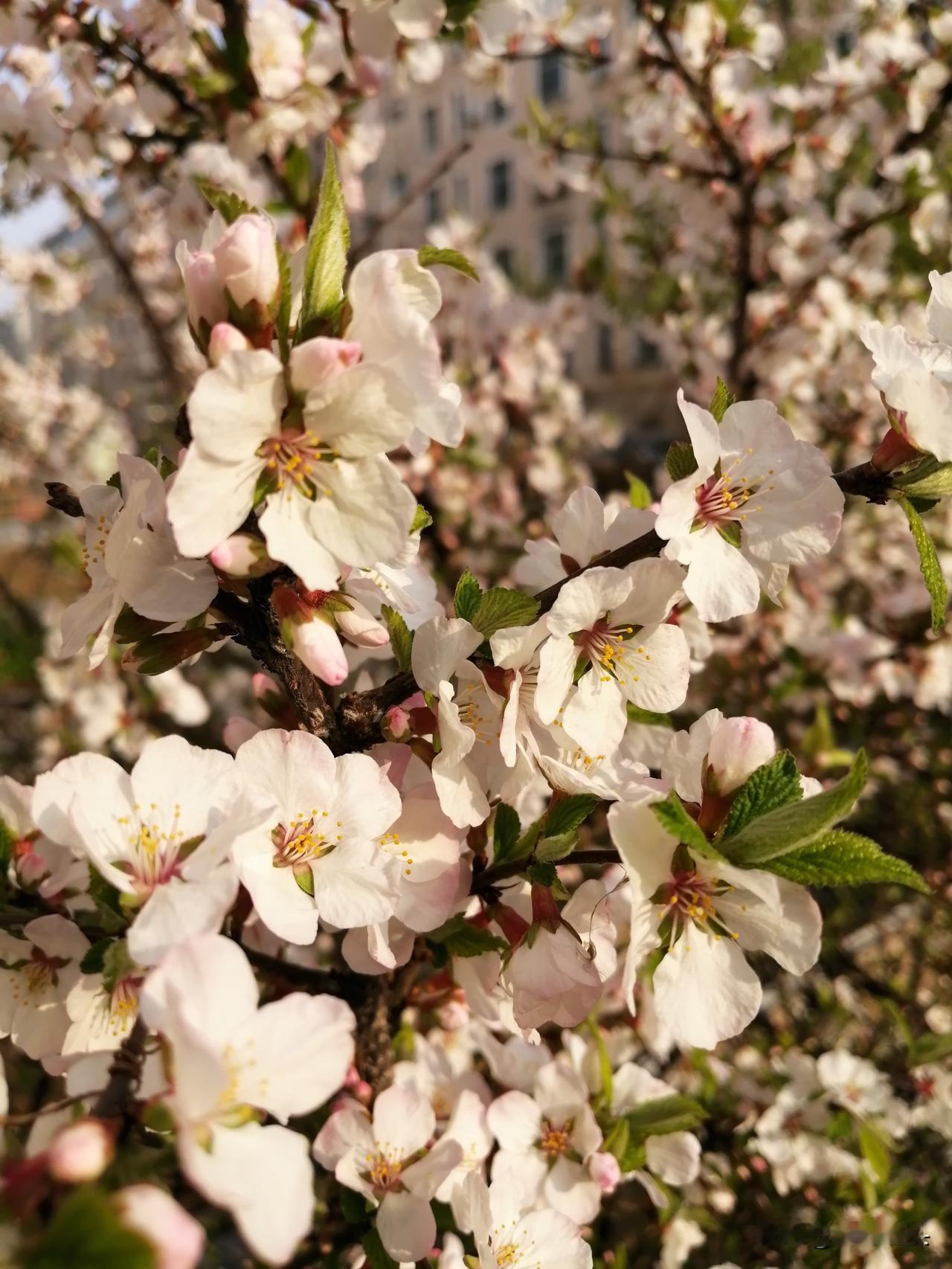 爱与不爱，身体比嘴巴先给出答案。这事儿根本不是羞于启齿的私事，而是婚姻里最直白