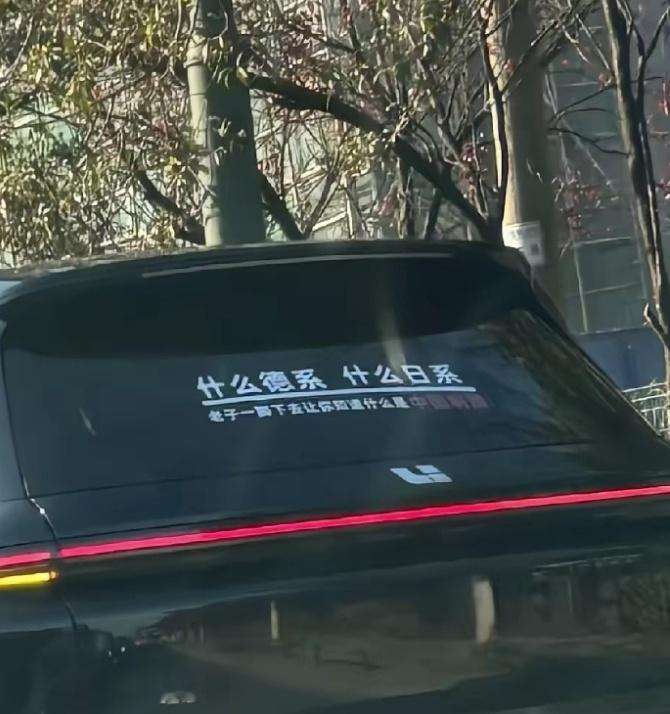 这理想车主说的很直白，可以可以~