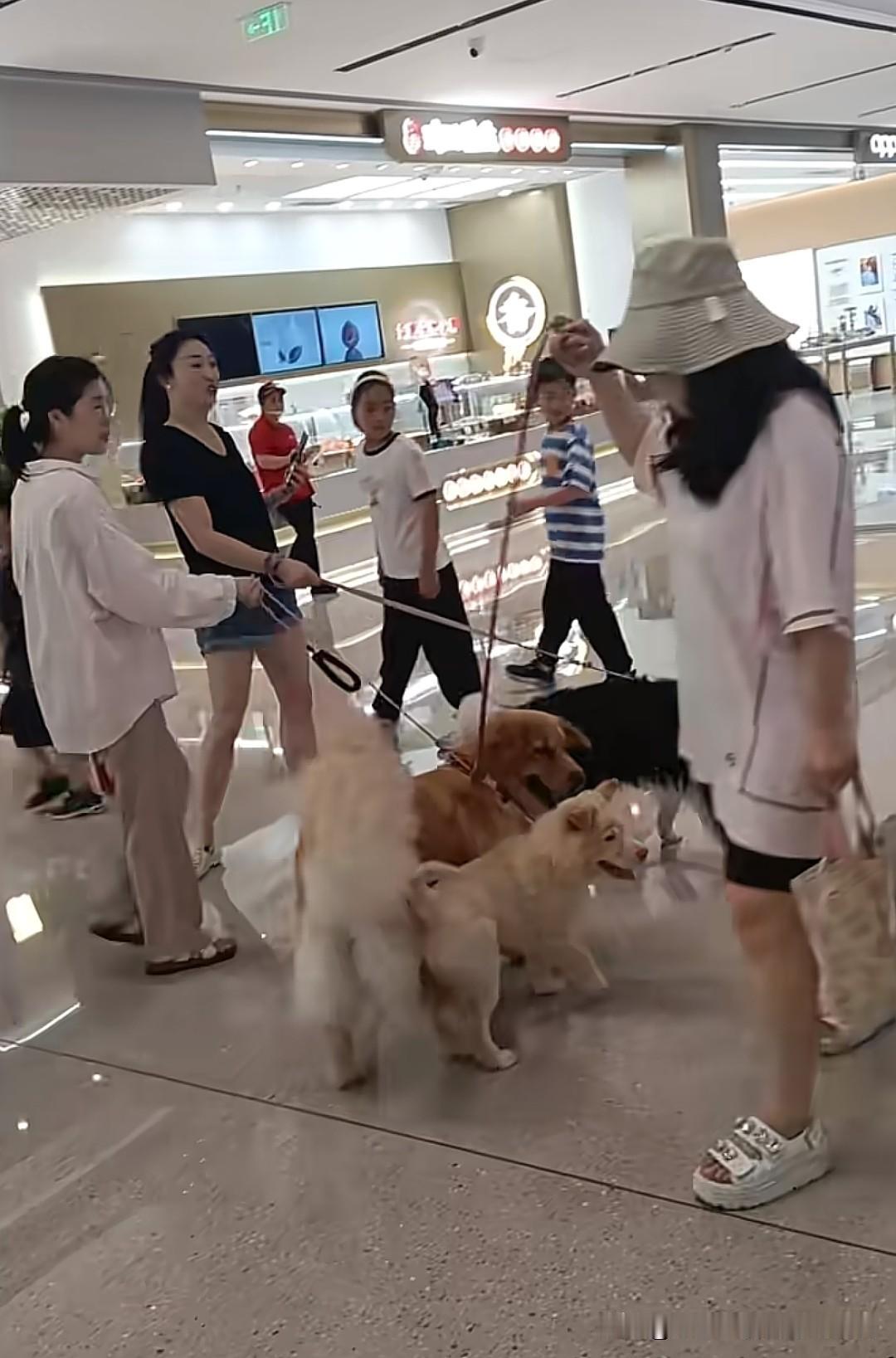 现在的商场，都成了遛狗的地方了，大家能忍吗？你以为是一人遛一条，那就真低估狗主人