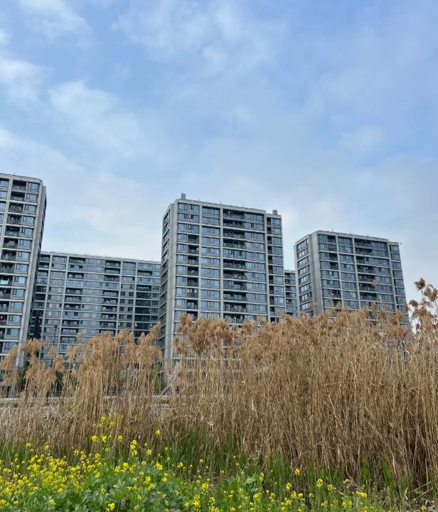 朋友，还在纠结“老破小”和“远大新”？看完这组数据你可能就不纠结了。说白了，买房