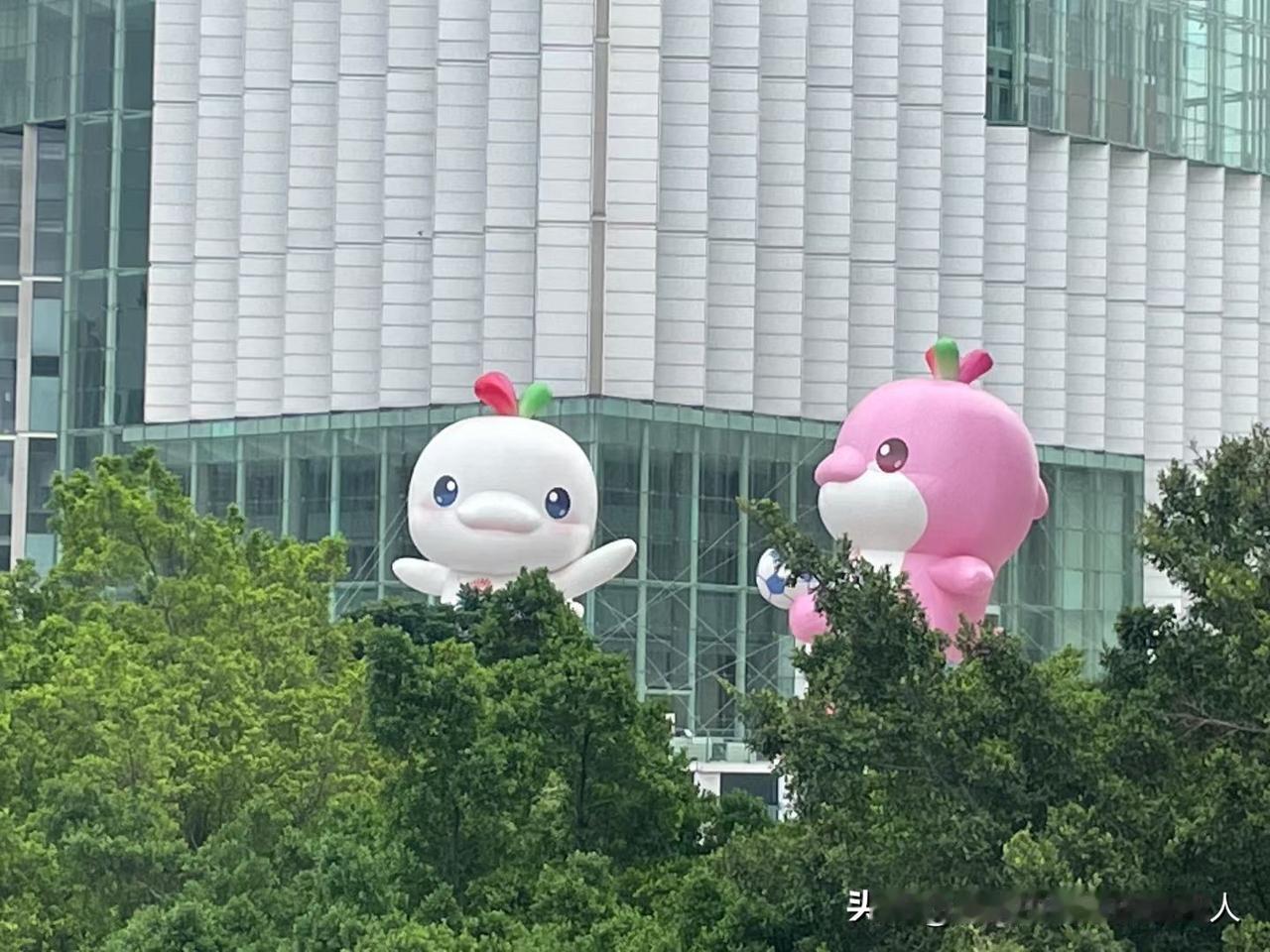 养了孩子后才明白：成绩再好，名校再牛都不如——他身心健康！​初三儿子第一