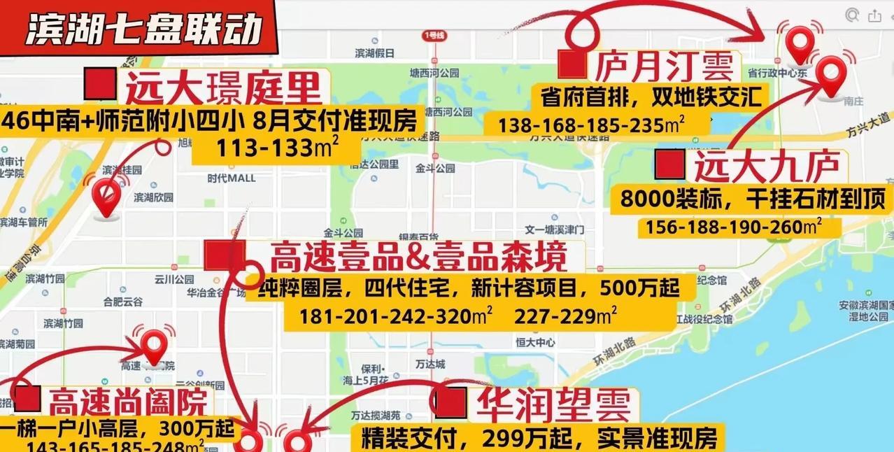 合肥滨湖新区7盘联动，这都是有钱人的选择，总价300万起。反正也是很神奇，二手房