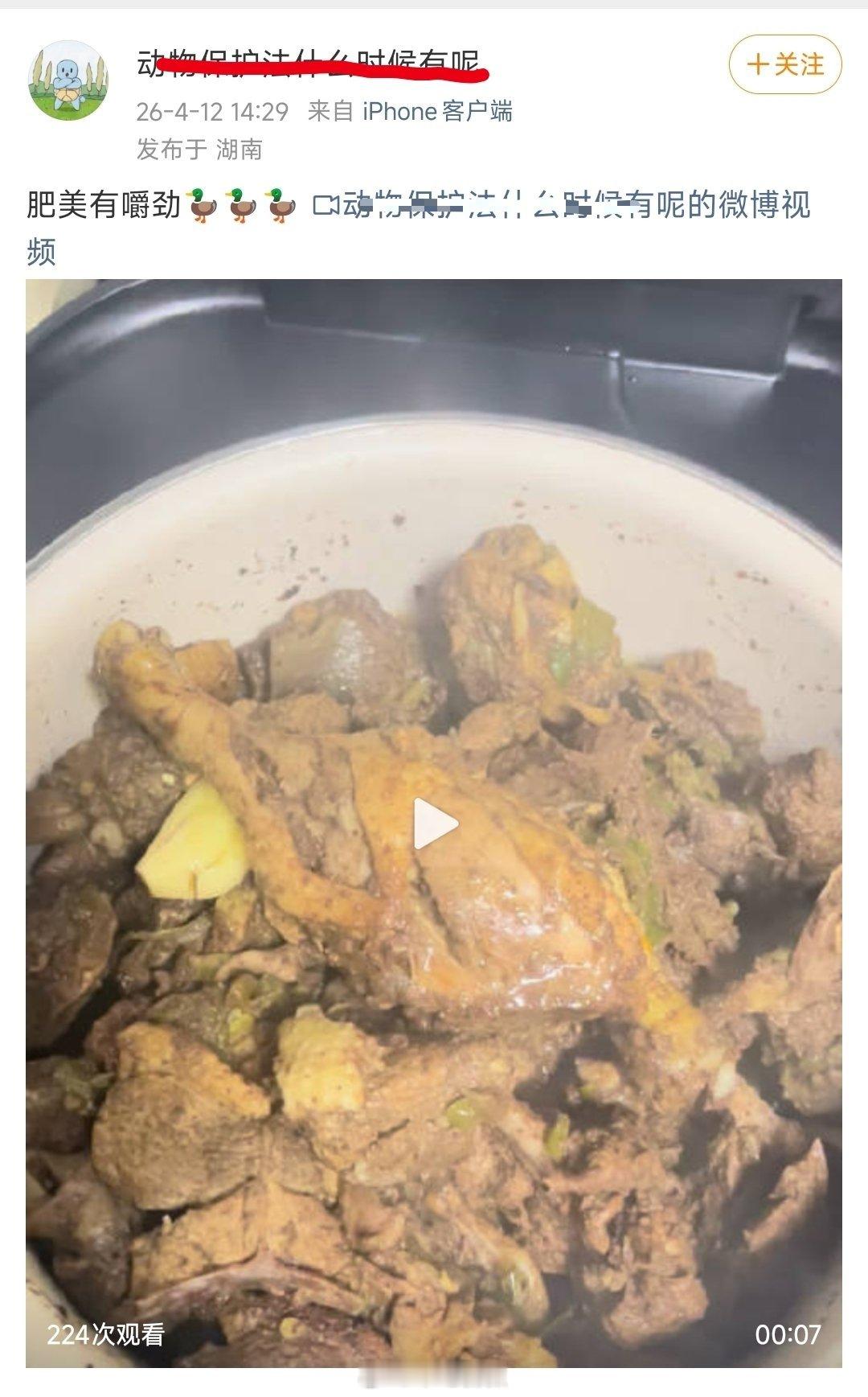 吃鸭子的时候怎么不艾特一下人家，一起尝尝什么叫做“肥美有嚼劲”动保笑话