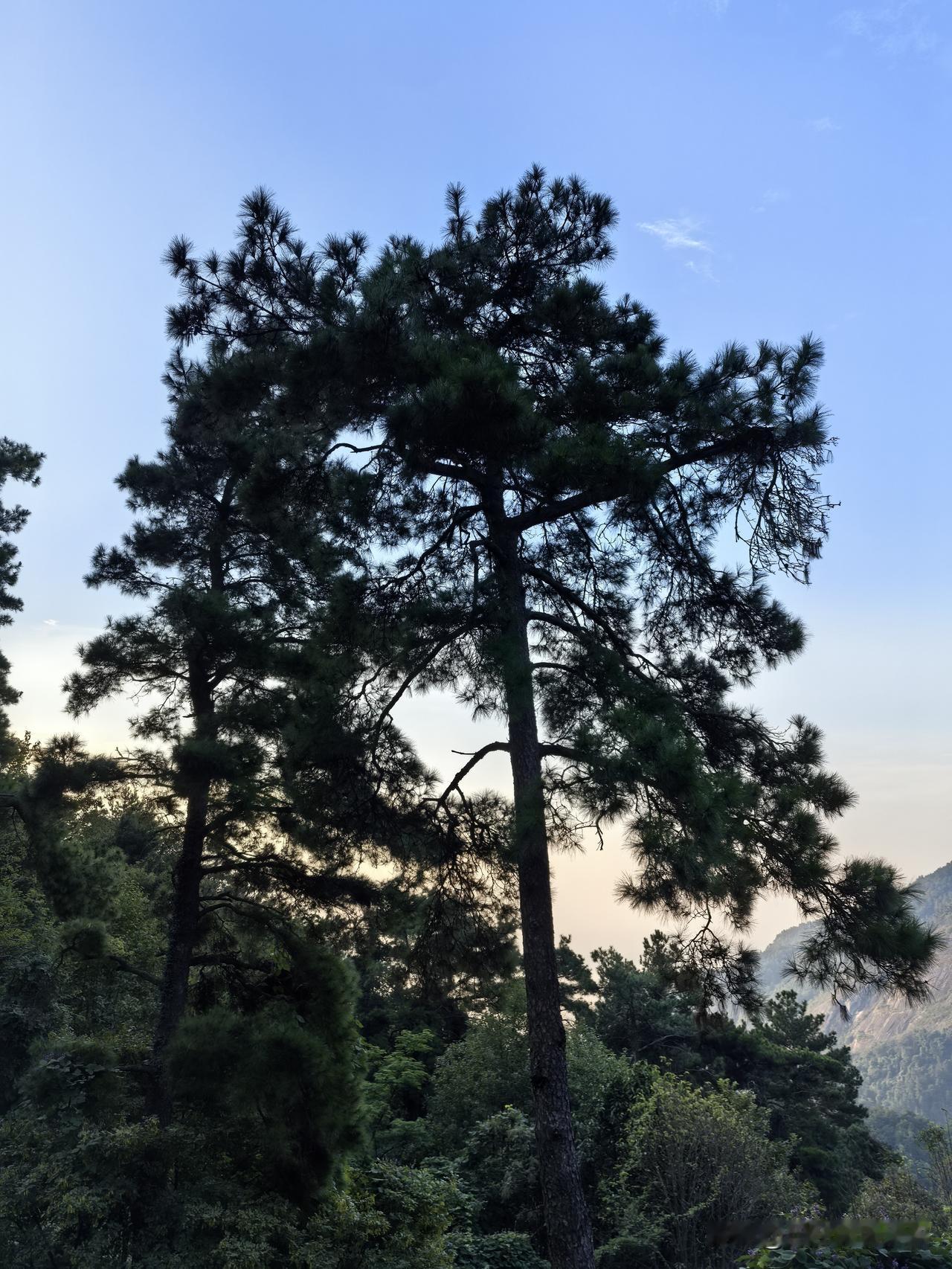 宁静之美背后的民宿静谧的衡山之上，松涛阵阵，宛如大自然奏响的绝美乐章。两千多