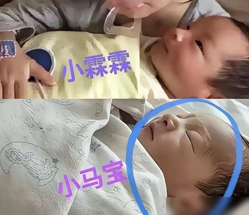 汪小菲那张脸，跟老爷子汪则翰简直一个模子刻出来的，可这活法儿，就离谱。他这