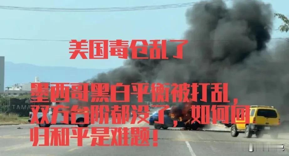 墨西哥黑帮暴乱给了世界一个警示，美洲还是两套治理体系，白天是政府管，晚上是黑帮管