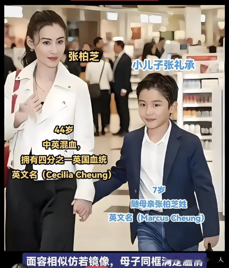 张柏芝力证清白：五年谣言终破，法律维权成最强回击！