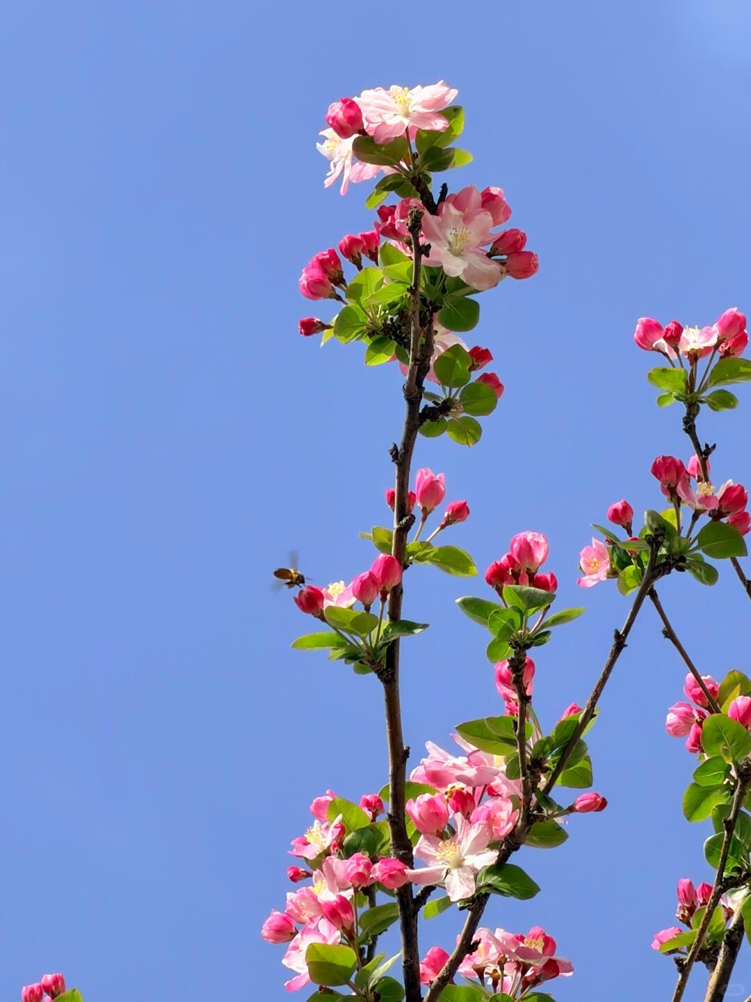 人，不要轻易，同情别人。看到别人过得不好，你总忍不住，心生恻隐想要去帮一把。