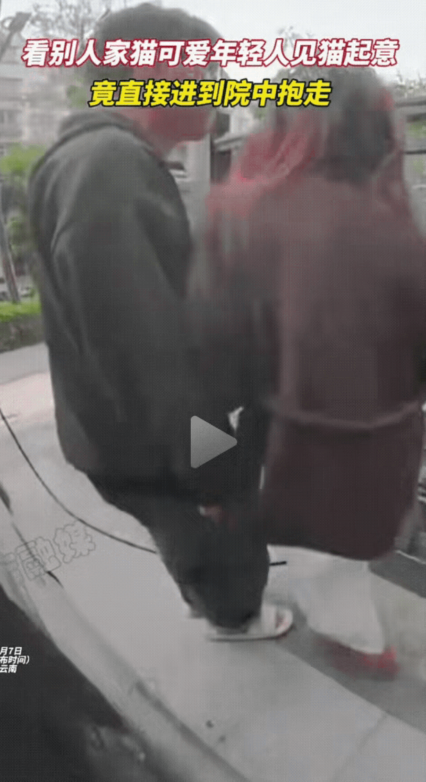 “这都不是偷猫了！”云南，两名年轻人路过一户人家时，突然相中了院子里的一只小猫，