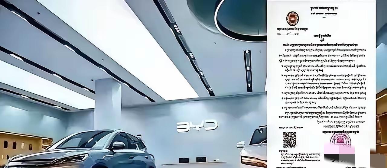 东南亚突然掀牌。柬埔寨从4月1日起，把面向中国的纯电车、充电桩、太阳能整套设备关