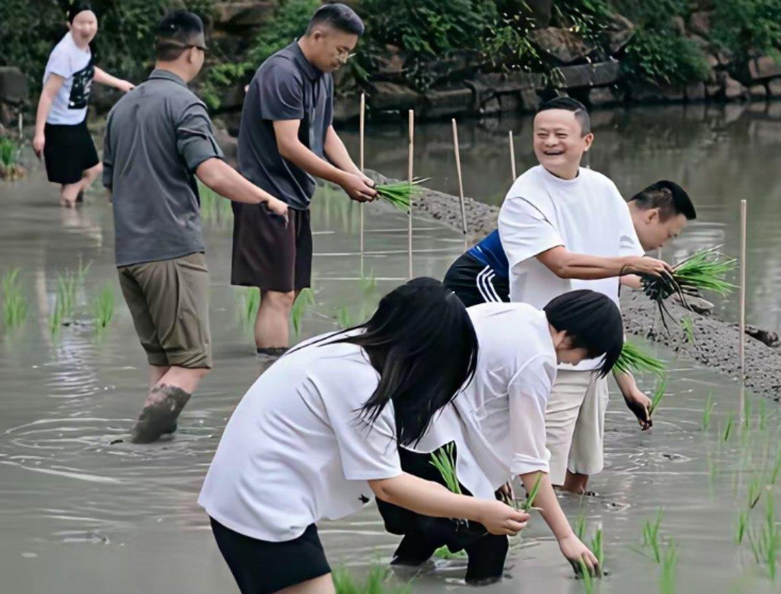 马云这种全球首富，居然也去田里踩、摸泥巴种地，不会“脏”到自己的身段吗？