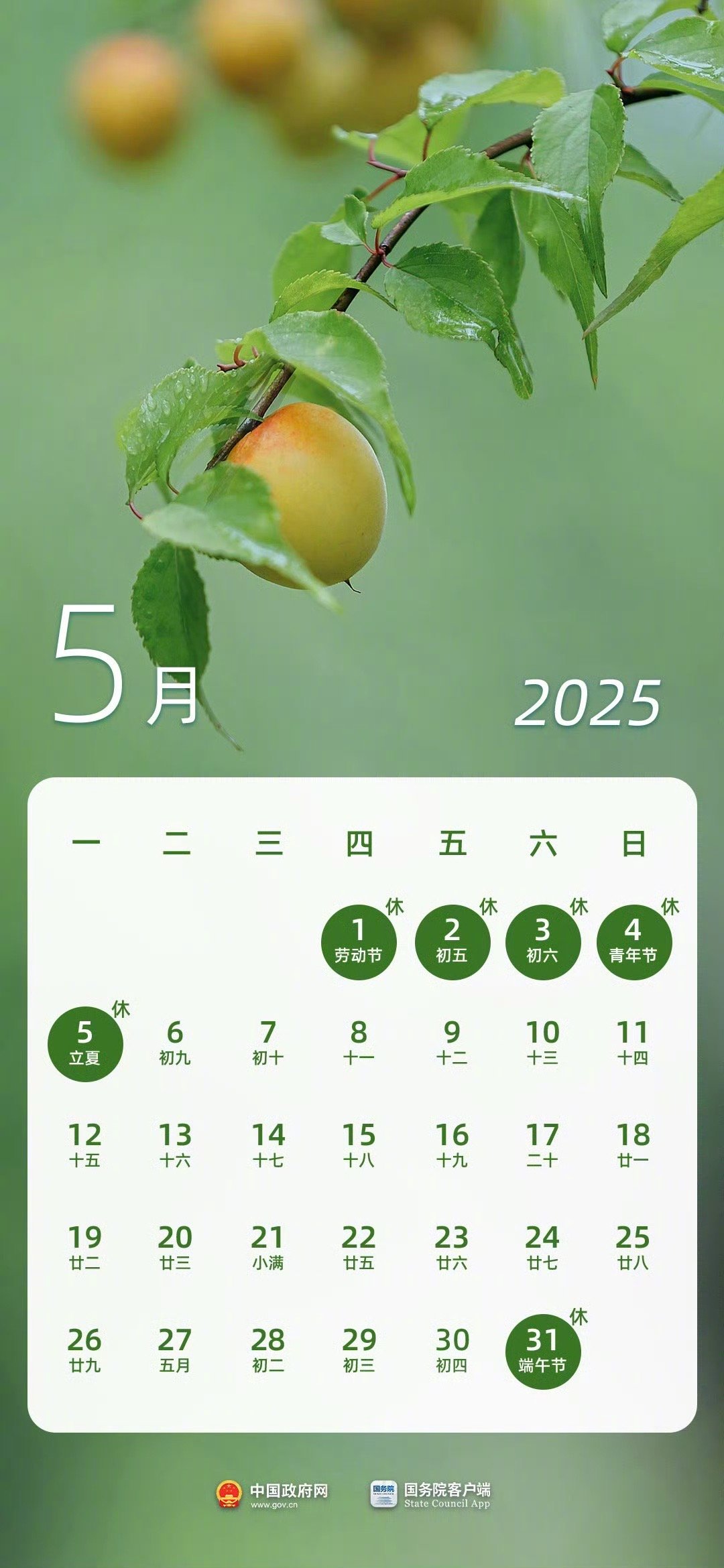 【#2025年端午节放假不调休#】#2025端午节放假不调休#盼望着盼望着，