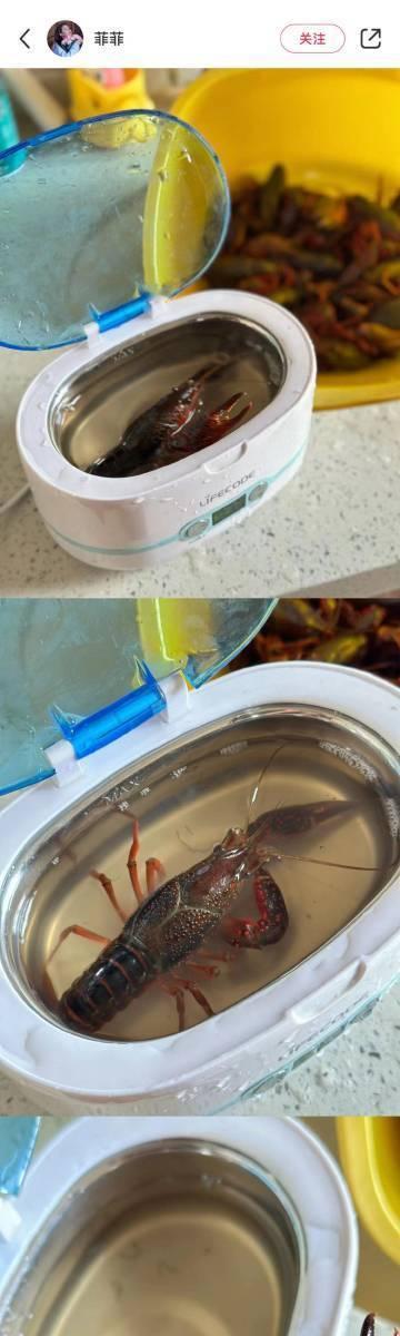 网友散落在人间的冷知识....