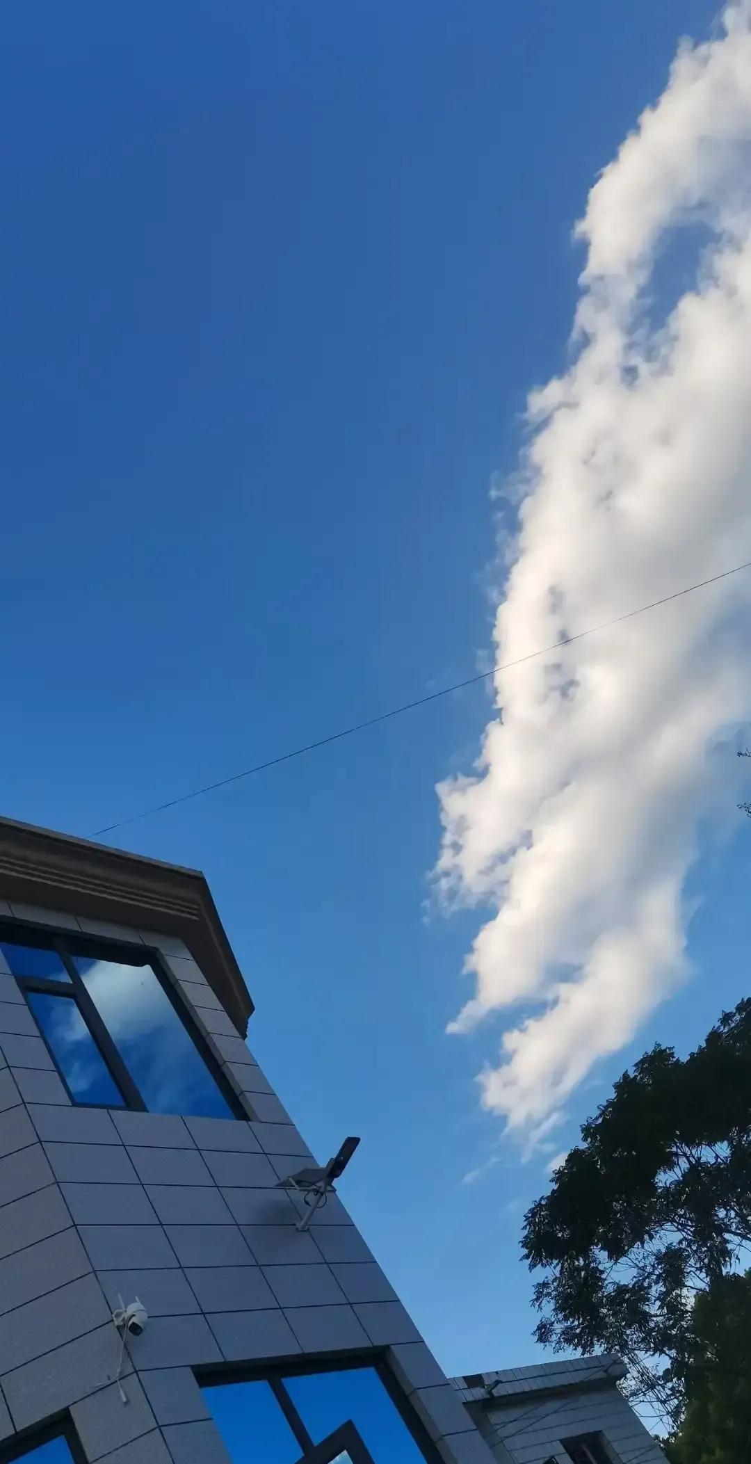 老公盯上对门那套要出的二手房，张口就要掏光存款给儿子当婚房。我听完直接头皮发麻