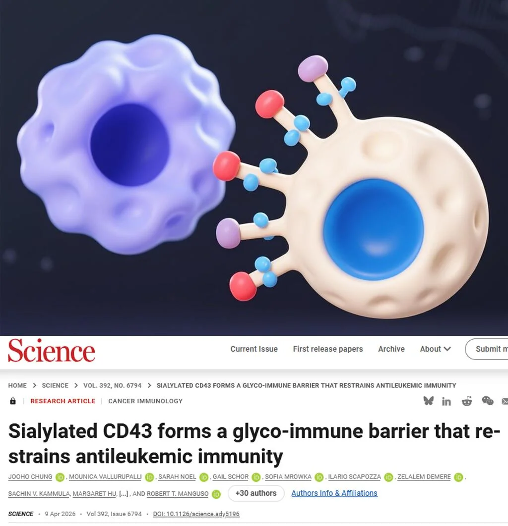 Science重磅-颠覆认证！白血病新靶点是CD43
