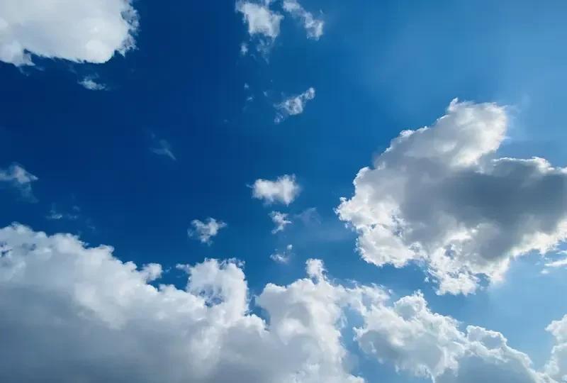 在体制内，主要领导不会让这几类人成为自己心腹:1，与主要领导对着干的人2，躺