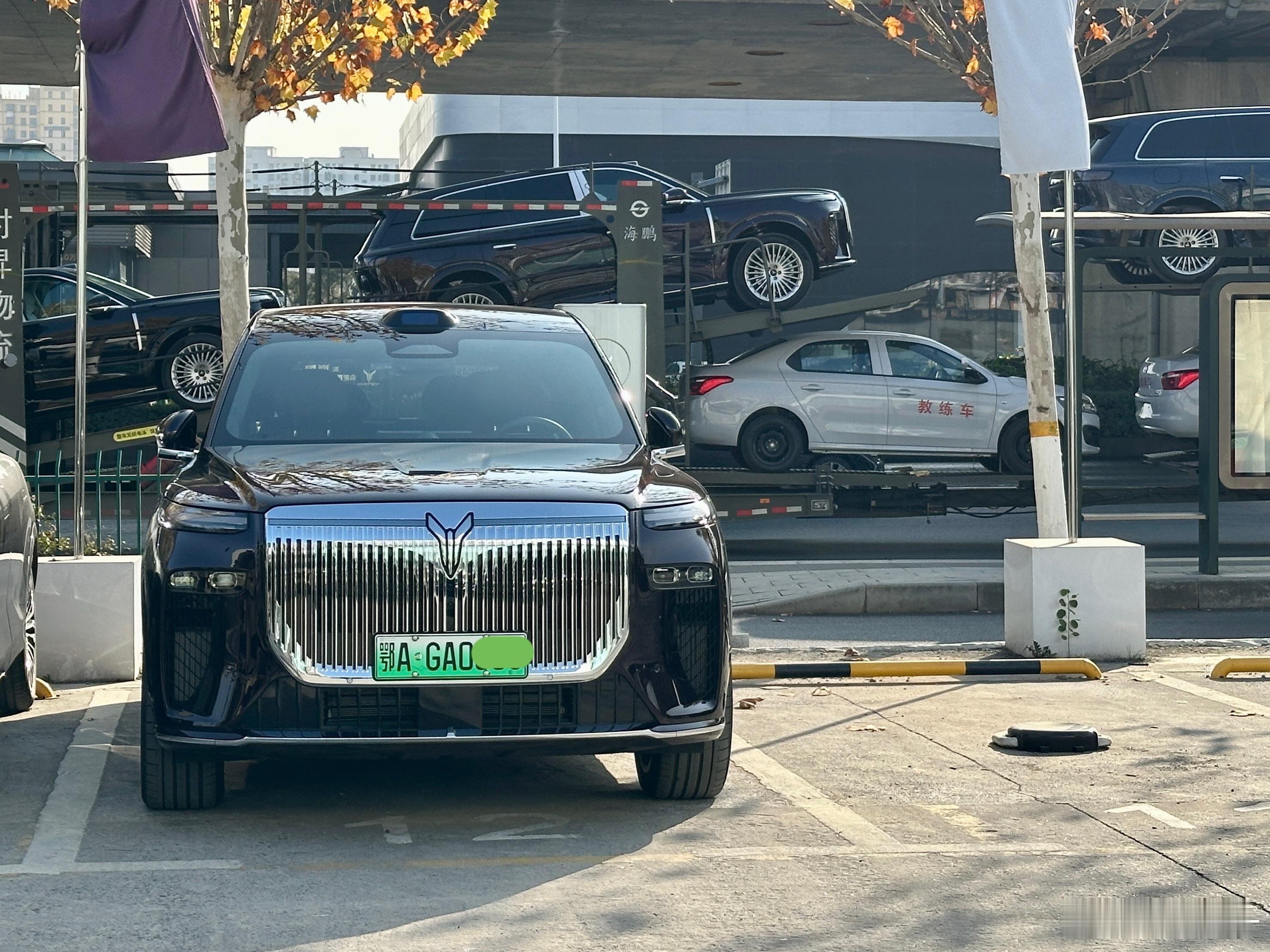 跑去试了下岚图泰山，覆盖件接缝均匀，左右一致性好。电动尾门的开关声音相当轻盈，手