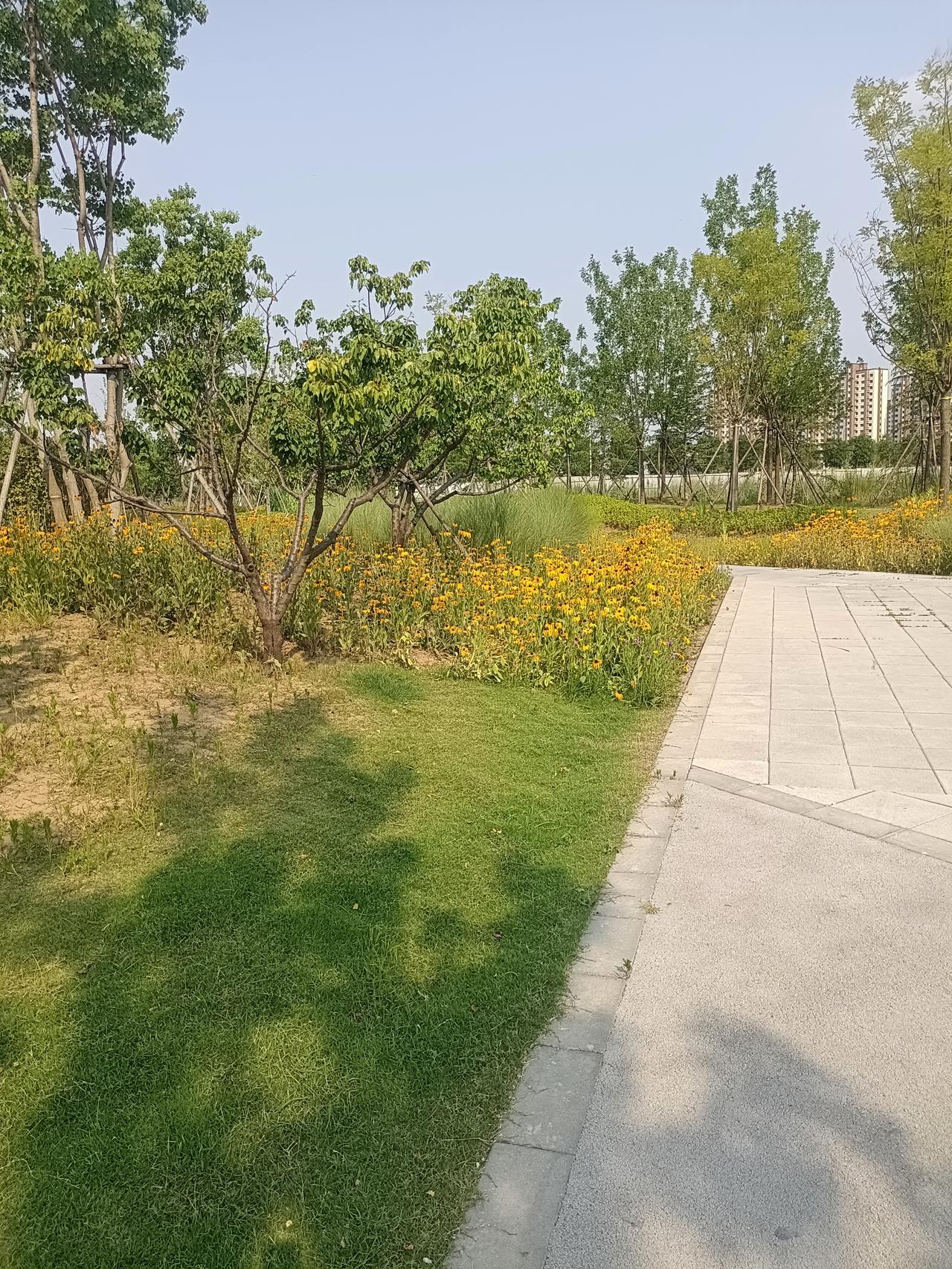 北京协和医院一位医生说：“告诉你一个不容易得病的方法，那就是上天给你什么，你就接