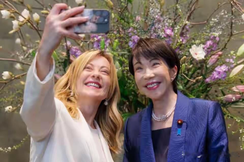 两个女人两台戏！西方七国里面的两个女统领都不是善茬，梅洛妮刚到知天命年龄，情