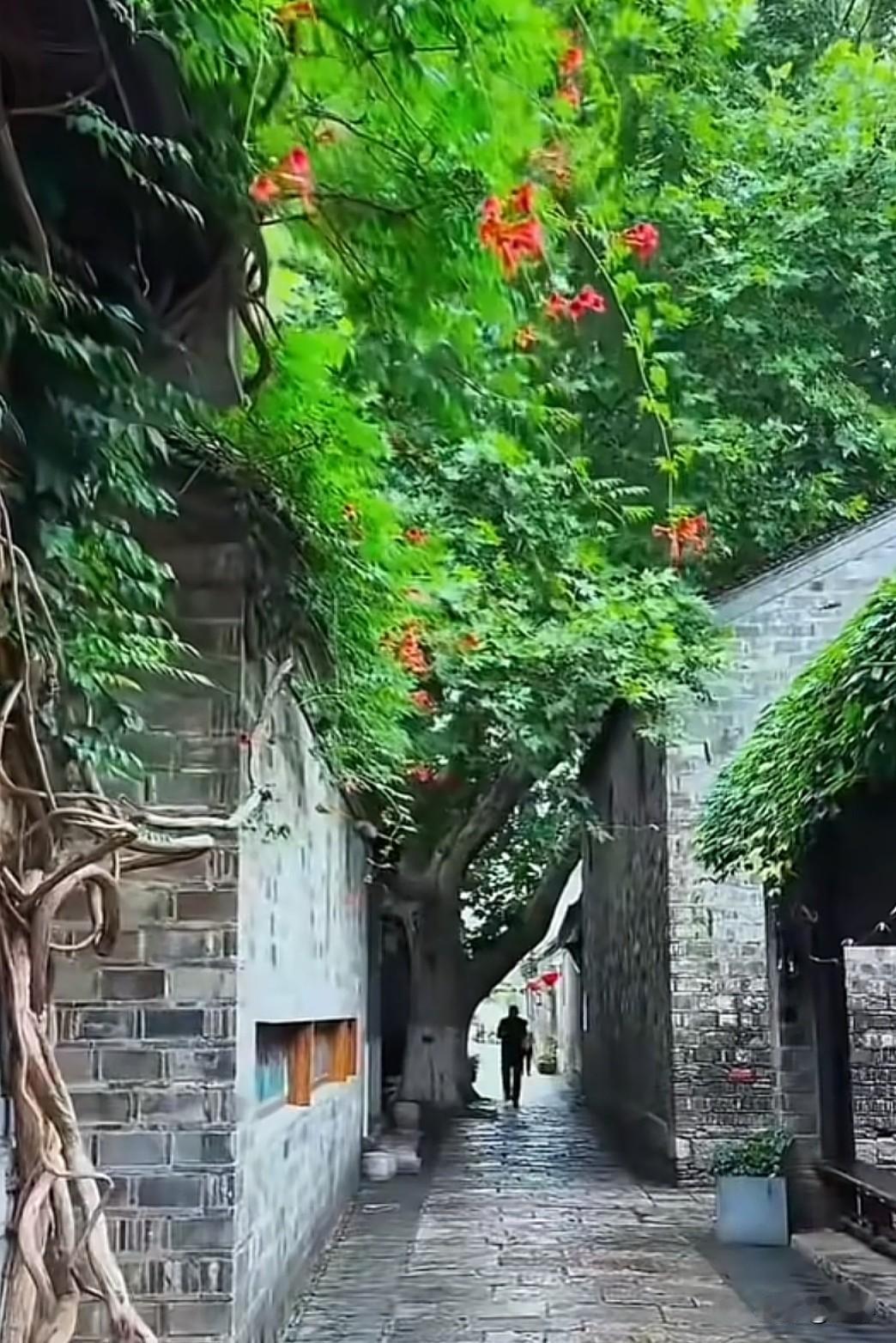 你敢信吗？从法律意义上讲，女性在婆家是没有话语权的。去医院的时候，路过手术