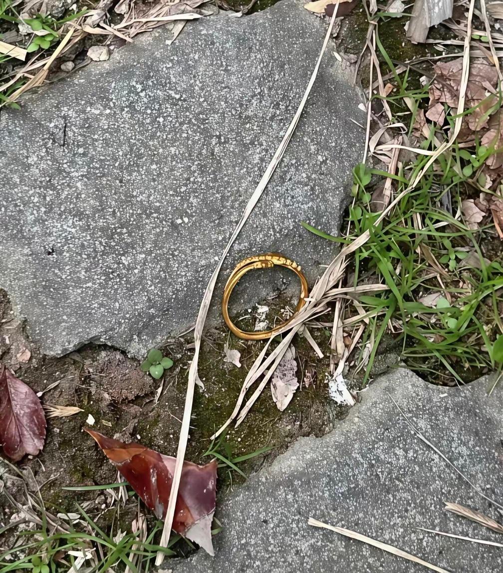 爬山看到这个可以捡回家吗？