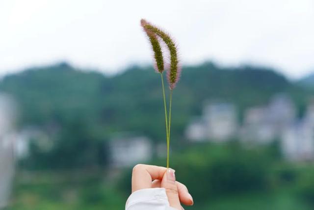 《人民日报》: 不要提前焦虑, 也不要预知烦恼, 生活就是见招拆招