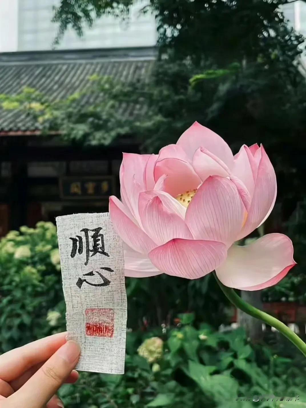 人人有副好面相，不一定有好心肠。人前小绵羊，人后黄鼠狼，眼前得罪人不可怕，