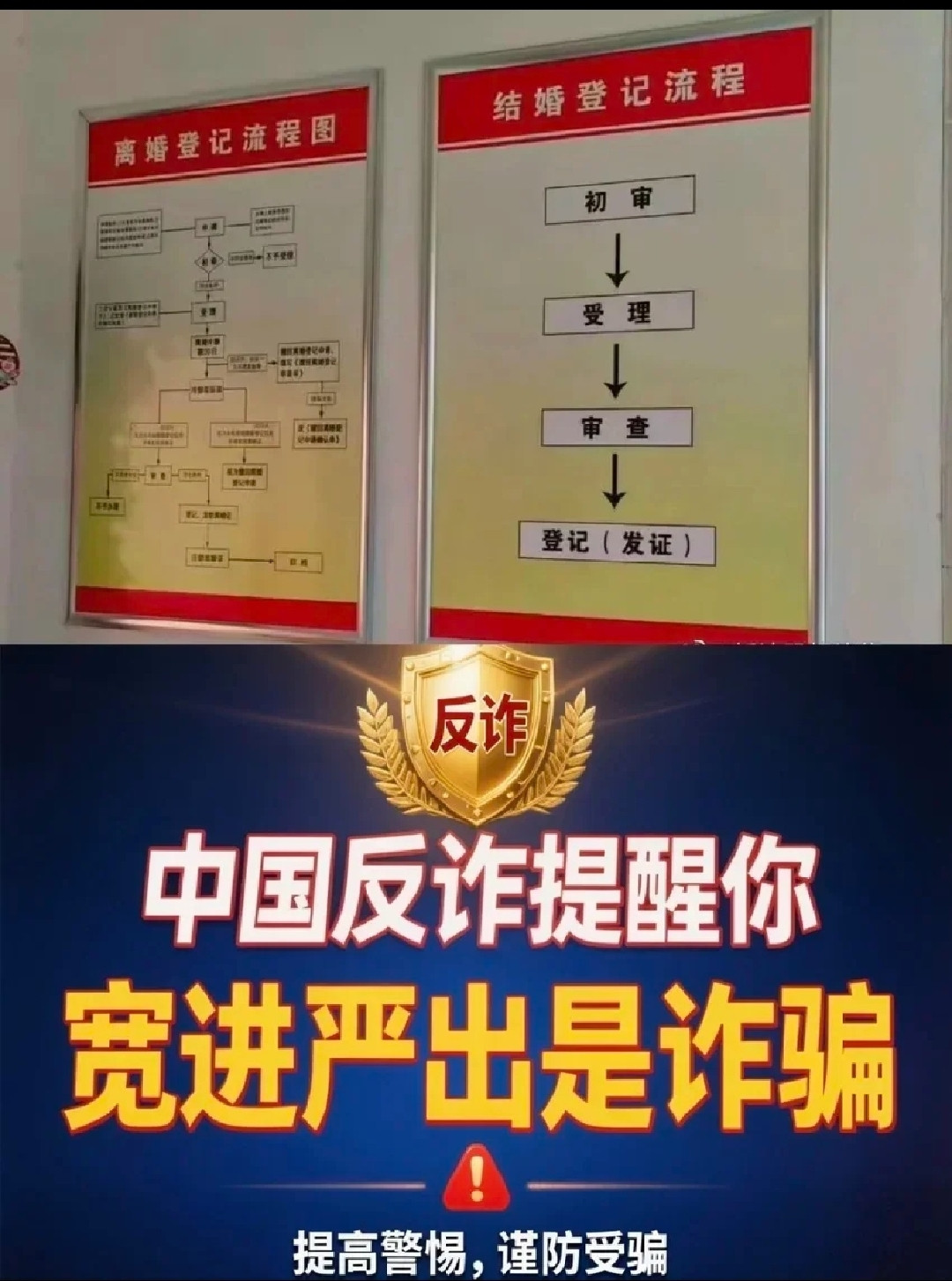 看到一个图，笑死🤣了