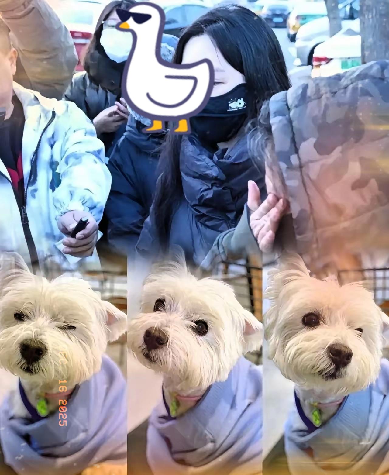 人不要脸，百事可为。北京这位李女士，采访全程戴口罩，看来心里和明镜儿似的，知