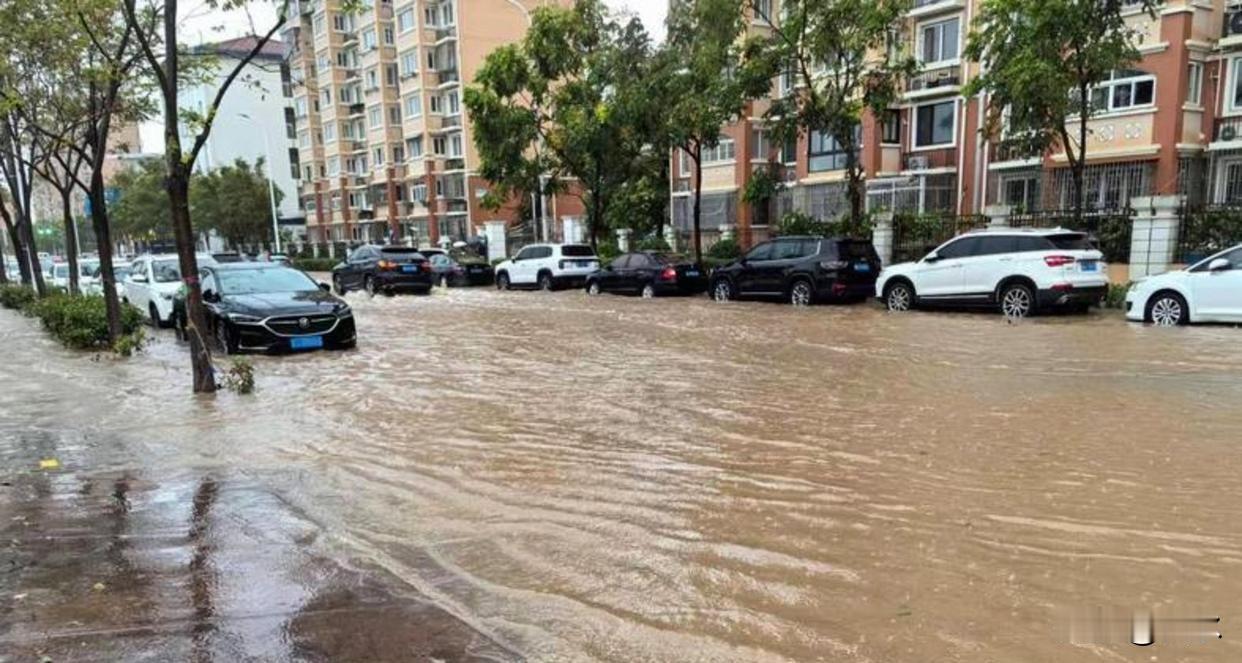 台风巴威属实本领高强，直接把沈阳安排得明明白白这回巴威可真不是浪得虚名，别
