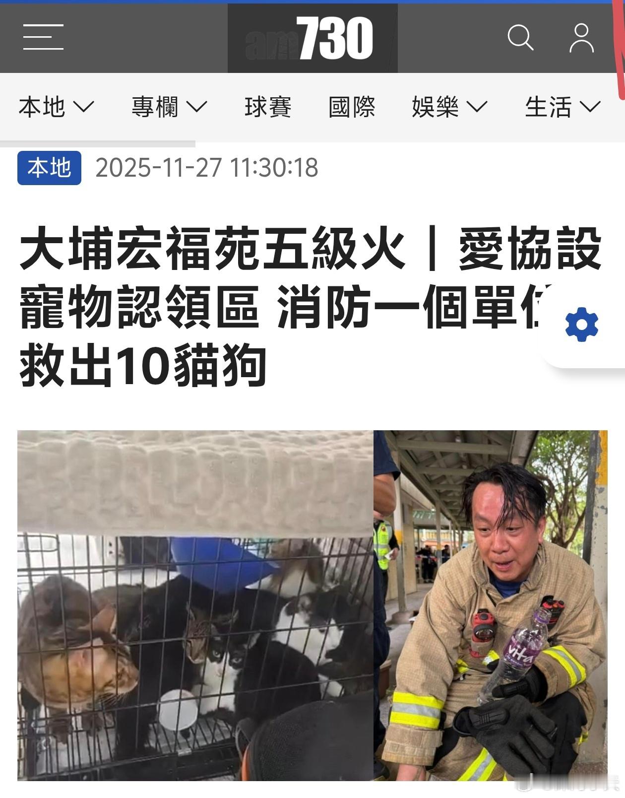 香港火灾被救出的宠物们香港大火焚烧逾18小时仍未救熄，伤亡惨重。截至今日（27