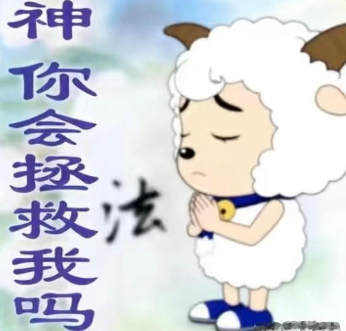 卧槽下午这波贪了睡了两小时