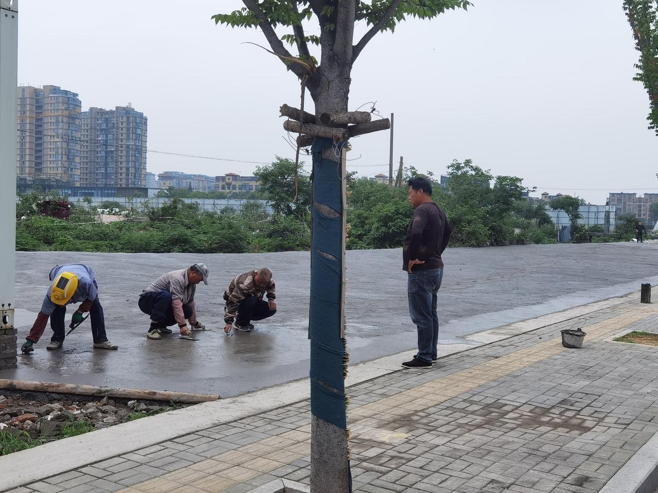 这块地跳过集装箱浇了一片。