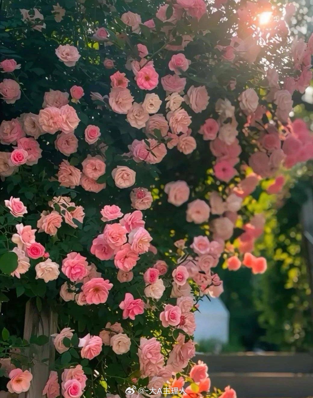 2026年3月8日！先祝军师的女神们节日快乐！三月主线确立～～算电协同。电力方向