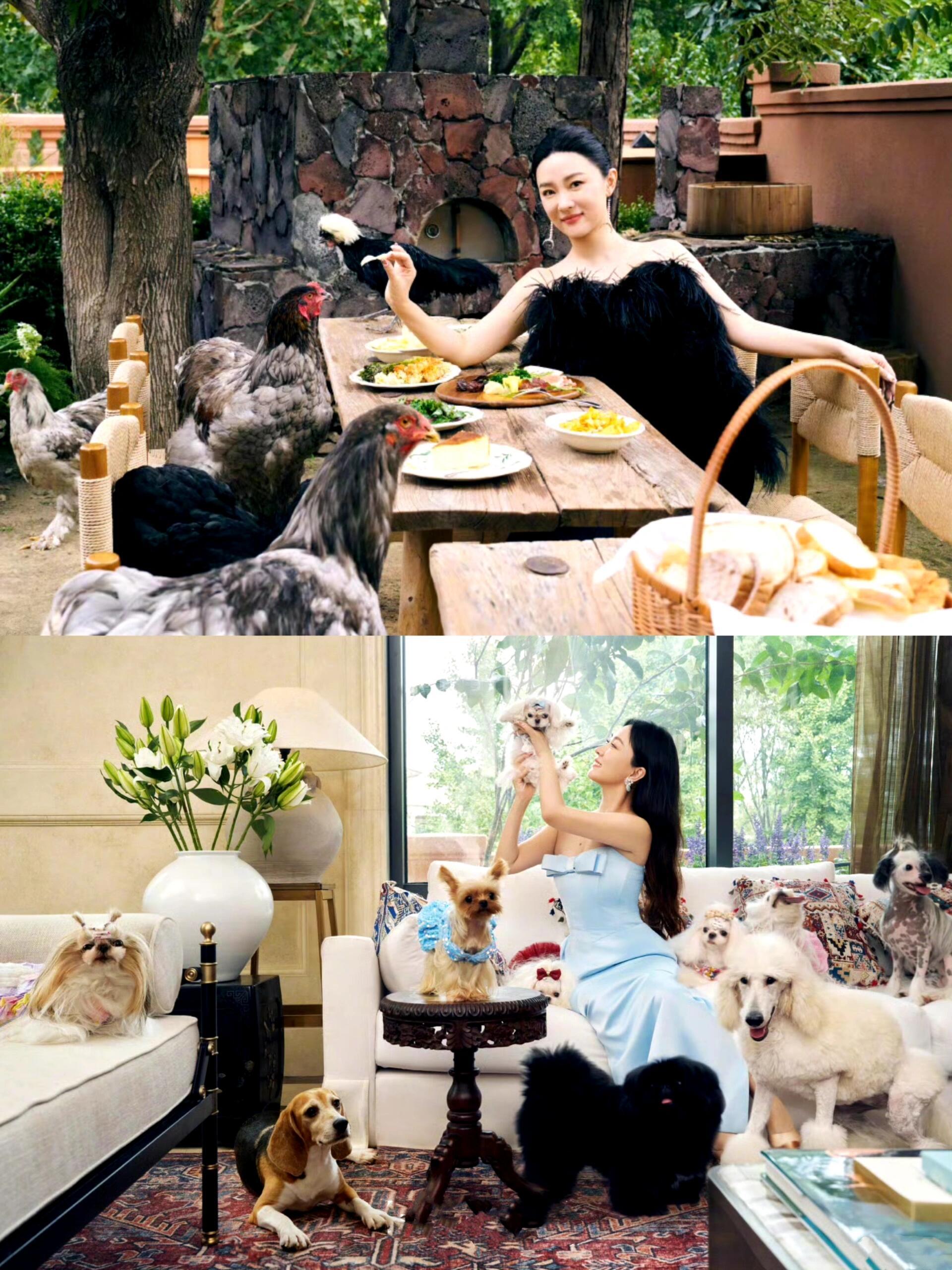 霍思燕有点李湘那味了，家里有一个动物园还有满院子的花草，早早的就开始享受生活。现
