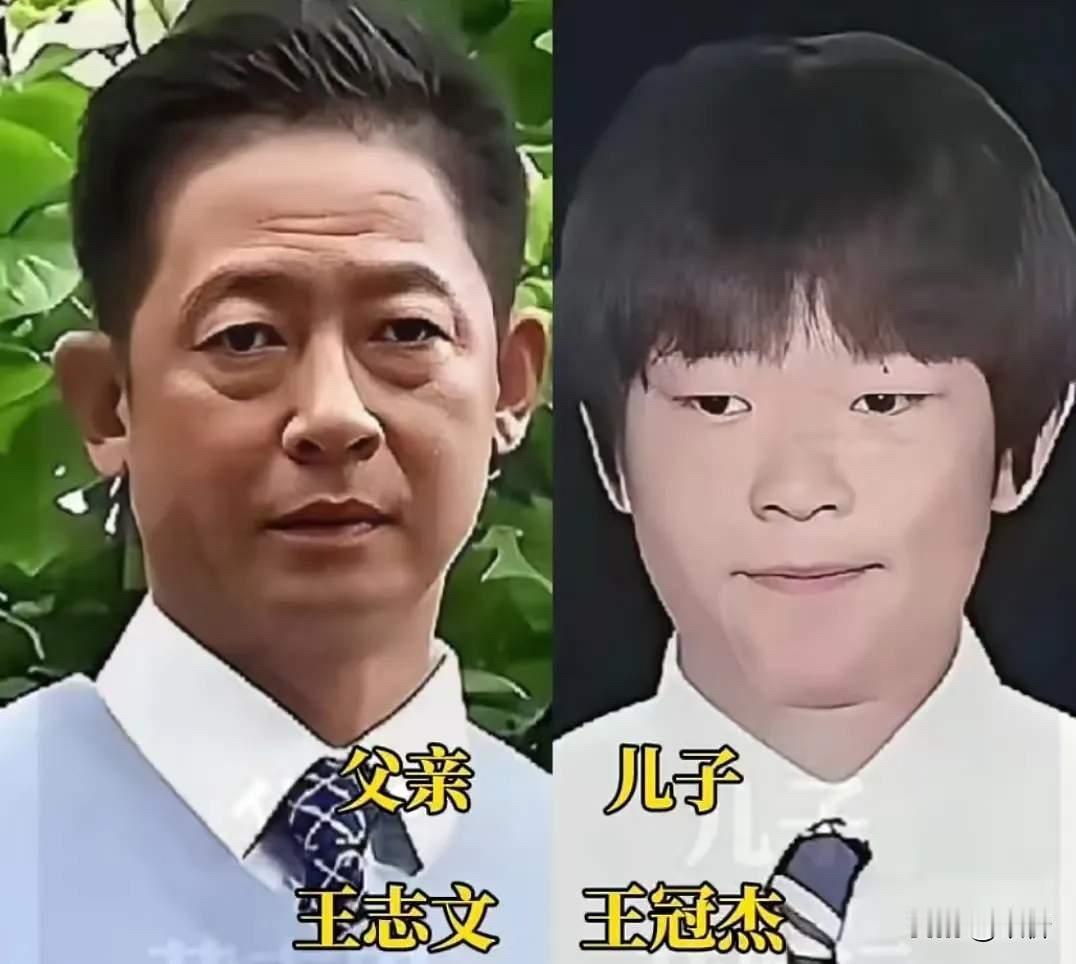 王志文和儿子王冠杰、张晞临和儿子张宇轩、撒贝宁和儿子撒瑞吉、任鲁豫和儿子任泓远—