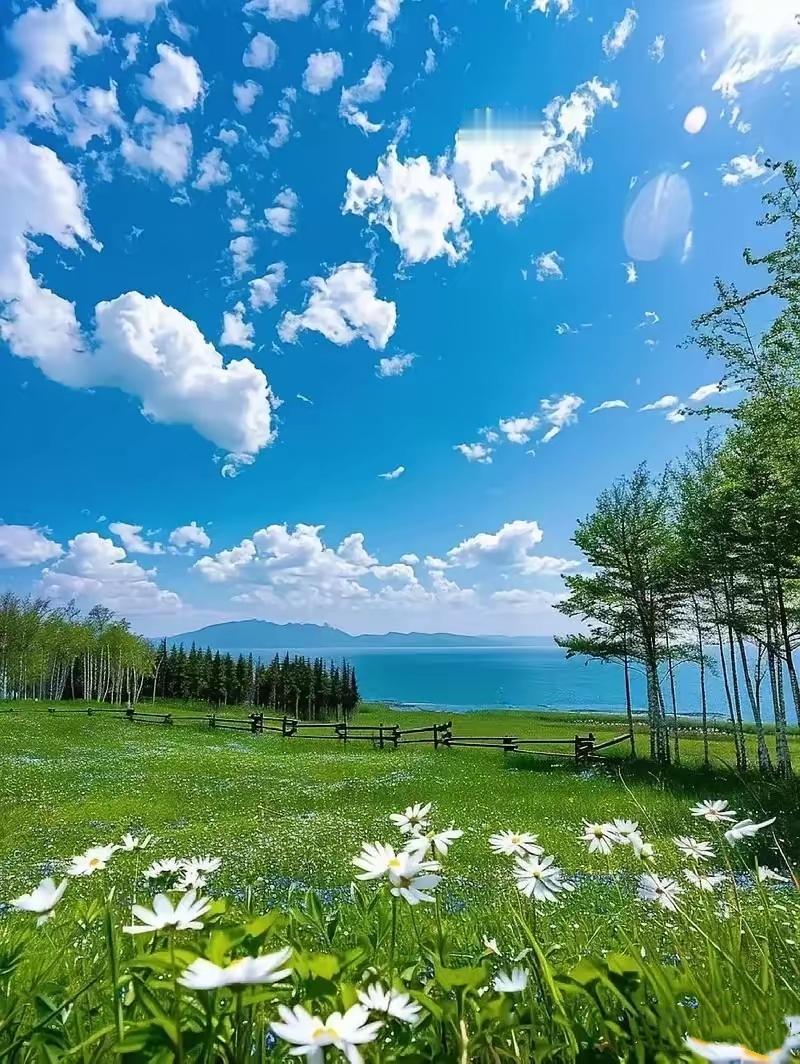 一个扎心的社会现象。​等你老了，才会彻底看清：你曾经捧在手心里疼大的孩子，心里