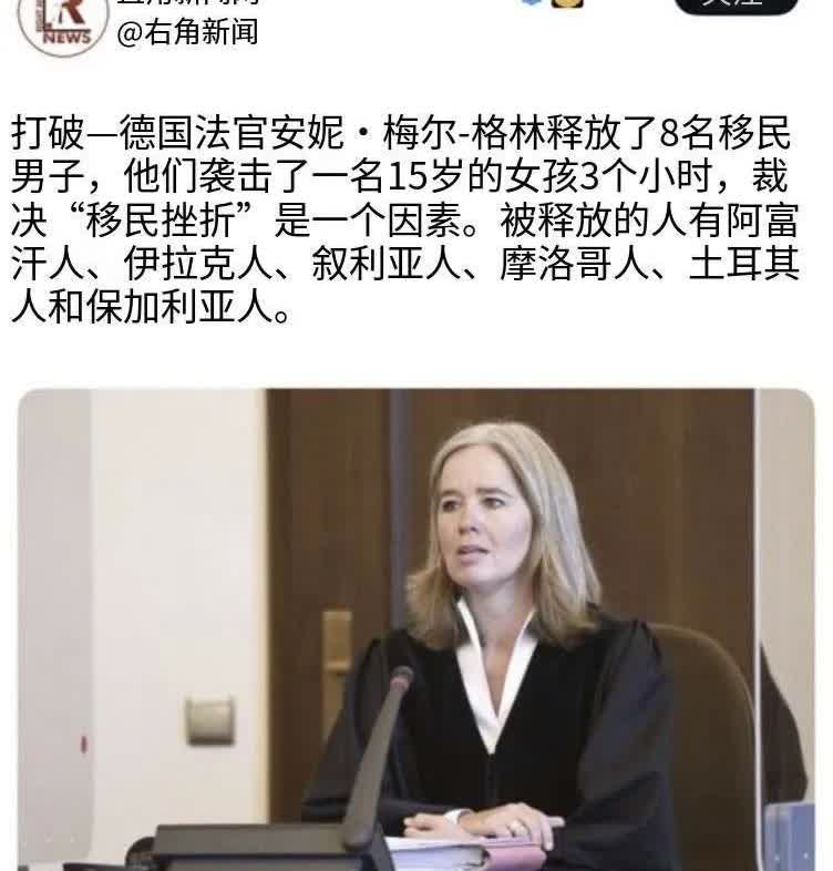 网上看到一个消息，8名来自阿富汗、伊拉克、叙利亚、摩洛哥、土耳其和保加利亚(除保