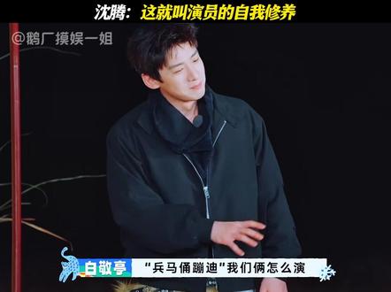 沈腾：这就叫演员的自我修养