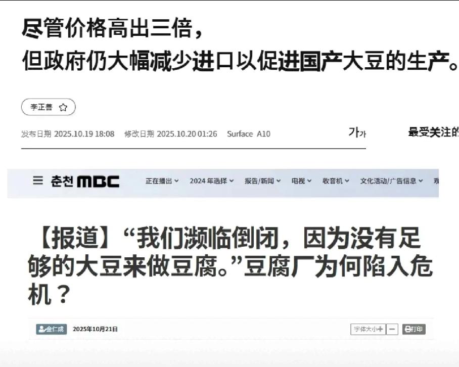 这可太逗了，前脚说小日子豆腐吃不完，后脚南棒子豆腐告急，这么给力的吗？怎么开头