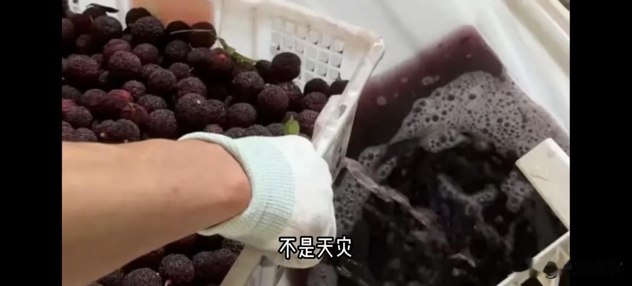 这个家伙最坏[捂脸哭][捂脸哭][捂脸哭]这些年就是他这样协会会长带头乱搞的