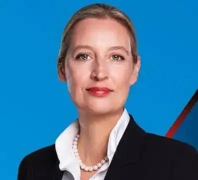 德国魏德尔猛喷默茨：人家美国都知道跟俄罗斯谈务实合作，转头就拿到了便宜的柴油，德