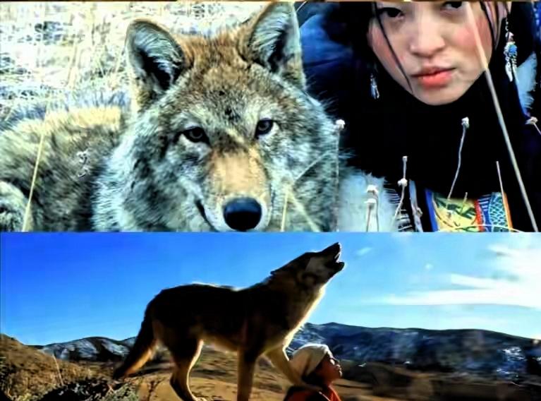 李微漪昨日更新，透露格林已离世，回复网友自己仍保留着红腰带就在昨天，李微漪