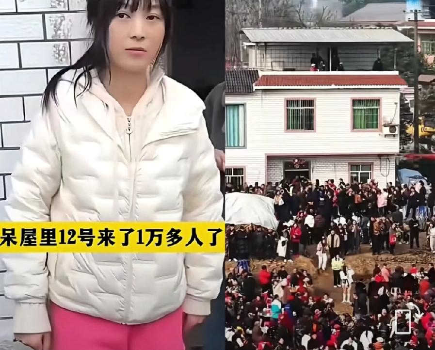 贫穷真的限制想象，我好奇查了呆呆这两天直播收益，直接惊掉下巴，嘉年华礼物，一个3