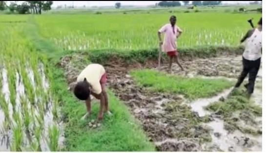 印度求购中国尿素，无疑狠狠扇了印度政客一记耳光。一位印度农业专家直白地表示：“政