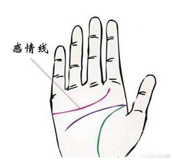 八字日柱看姻缘婚姻宫有子、午、卯、酉四字之一，代表另一半长相不错，男俊女美，感情经历可能比较大多。婚