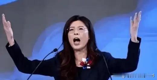 台湾蓝营终于摊牌了！郑丽文公开拒绝“一国两制”，不再模糊回避。这记重拳打向何方？