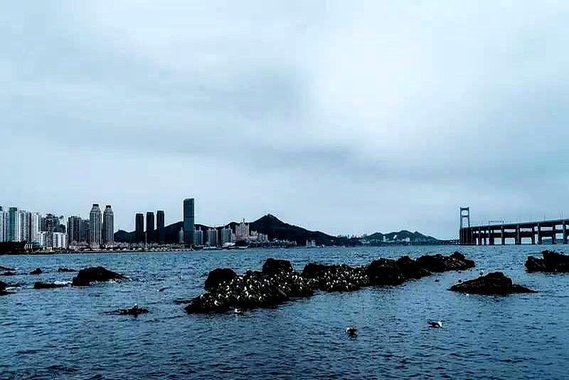 一张球票，能免票逛遍辽宁43个景区，这事儿就发生在东北。全东北的眼睛都盯着梭